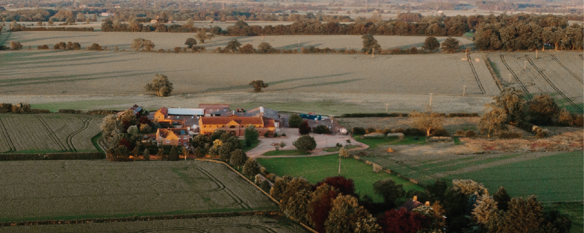 Click & Collect from the Farm